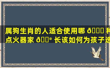 属狗生肖的人适合使用哪 💐 种点火器家 💮 长该如何为孩子选择点火器